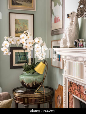 Flowering orchid on vintage side table Stock Photo