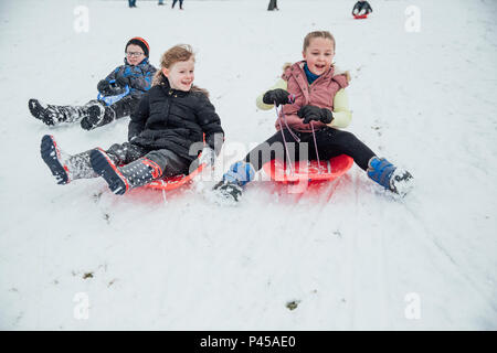 Children from the community are coming down a hill in a  public park on sleds in the snow. Stock Photo