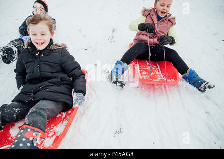 Children from the community are coming down a hill in a  public park on sleds in the snow. Stock Photo