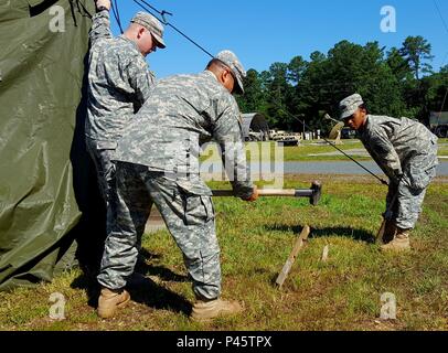 Movement Control Team Structure The 956th Movement Control Team, an Army Reserve unit from Fort ...