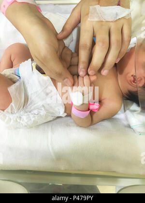 Patient new born baby in incubator at hospital. Stock Photo