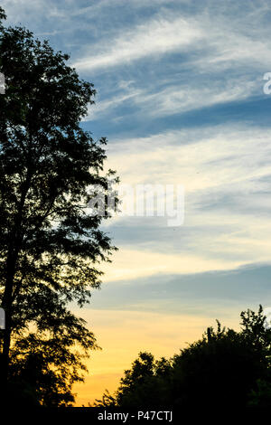 Evening landscape with contrasting sunset skies. Abstract nature background. Stock Photo