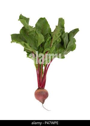 Beetroot with leaves isolated on white background Stock Photo