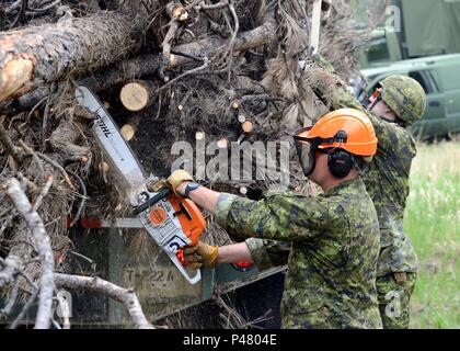 A soldier from 41 Combat Engineer Regiment with Task Force 41 operates ...