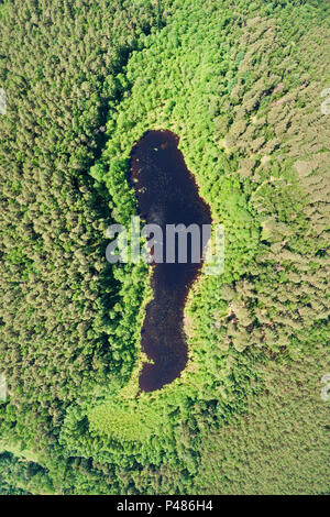 Aerial view of lake hidden in pine forest Stock Photo - Alamy