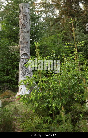 Tree carving of old man in Camore woods, Dornoch ; Scotland. UK Stock Photo