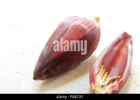 Banana Blossom flower on white background, selective focus Stock Photo