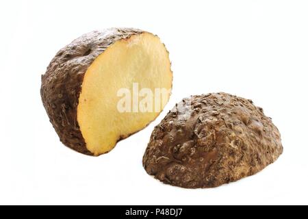 https://l450v.alamy.com/450v/p48dj7/raw-elephant-yam-cut-in-half-suran-chena-isolated-on-white-selective-focus-p48dj7.jpg