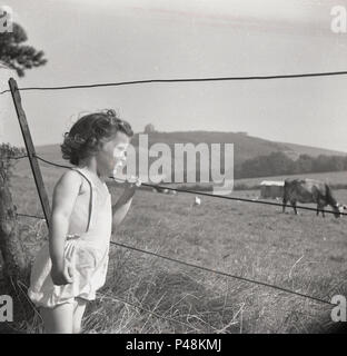 1950s, historical picture of an infant girl outdoors in the countryside holding a wire of an old fence looking at the cows in the field, England, UK. Stock Photo
