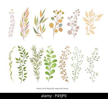 Handdrawn Vector Watercolour style, nature illustration. Set of  leaves and branches, Imitation of watercolor, isolated on white.   Stock Vector