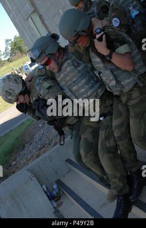 During a culminating event, Soldiers of the Minnesota National Guard and the Norwegian Home Guard conduct squad movements under supervision of local Minnesota law enforcement officers after two days of domestic operations training conducted at Camp Ripley June 24-26. Several law enforcement agencies participated in the event including police officers who are a part of SWAT teams from St. Cloud, East Metro and Morrison, Sherburne and Washington Counties. (Minnesota National Guard Photo by Master Sgt. Ashlee J. L. Sherrill) Stock Photo