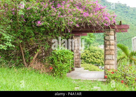 Purple bougainvillea creeper flowers over wooden and light brown stone column pergola on a hill in Hualien County, Taiwan