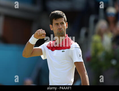 Queens Club, London, UK. 21st June, 2018. The Fever Tree Tennis Championships; Novak Djokovic (CRO) celebrates towards his coaches after winning the first set against Dimitrov Credit: Action Plus Sports/Alamy Live News Stock Photo