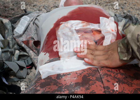 A student’s hand applies a dressing to a simulated victim during a hands-on portion of a combat lifesaver course taught June 23, 2016, at Camp Lemonnier Djibouti. The four-day course included 40 hours of instructional and hands on training to U.S. and French service members. (U.S. Air Force photo by Staff Sgt. Eric Summers Jr.) Stock Photo