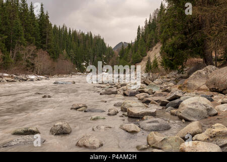 Little river in spring time with brown dirty water from the melting snow from the mountains in background, coniferous forest on both sides. Stock Photo