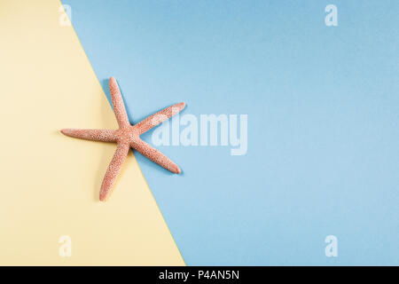 One starfish on blue-yellow background with copy space. Vacation concept. Stock Photo