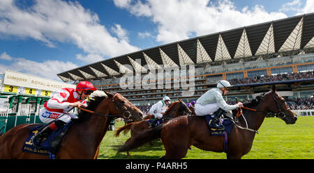 A general view of runners and riders in action in the Queens Vase Race during day two of Royal Ascot at Ascot Racecourse. Stock Photo