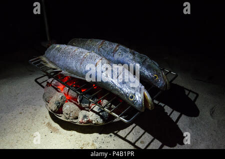 Grilled fish over coal fire at beach during night. Stock Photo