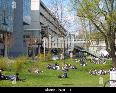 Vienna, students sitting and lying at meadow at Medizinische Universität (Medical University), 09. Alsergrund, Wien, Austria Stock Photo