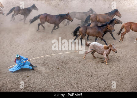 Horsemen dressed in traditional costume holds rope and pole urga or lasso, while herding horses, Xilinhot, Inner Mongolia, Chin Stock Photo