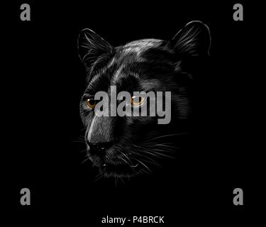 Head of a black panther Stock Vector