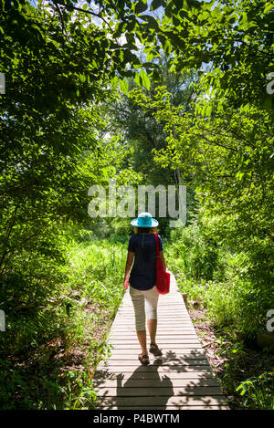 USA, New York, Hudson Valley, Saugerties, walkway along the Hudson River Stock Photo