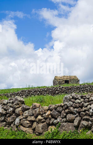 Portugal, Azores, Terceira Island, Serra do Cume, stone wall