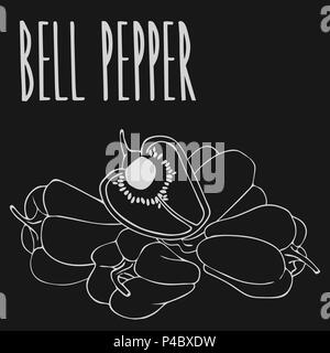 Isolate capsicum or bell pepper as chalk on blackboard. Close up clipart in chalkboard style. Hand drawn icon Stock Vector