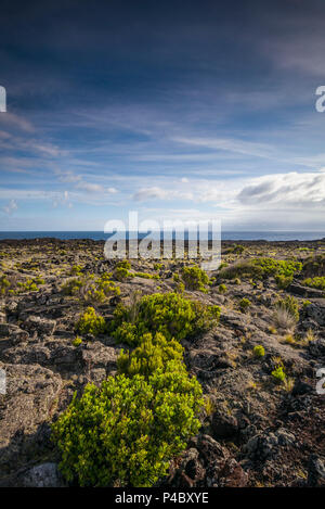 Portugal, Azores, Pico Island, Arcos, volcanic landscape on Northern Pico Island Stock Photo