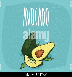 Ripe avocado fruits with leaves, whole and beautifully cut into pieces. Visible flesh and seeds. Isolated blue background. Realistic hand draw style.  Stock Vector