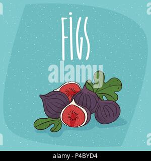 Group of several ripe fig fruits with small leaves, whole and beautifully cut into pieces. Isolated background. Realistic hand draw style. Lettering i Stock Vector
