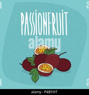 Group of several ripe passion fruits with small leaves, whole and beautifully cut into pieces. Isolated background. Realistic hand draw style. Letteri Stock Vector