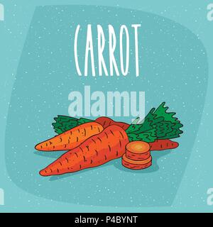 Ripe root vegetables carrots with small leaves, whole and beautifully cut into pieces. Visible flesh. Isolated background. Realistic hand draw style.  Stock Vector