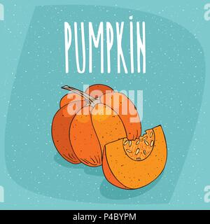 One huge whole ripe squash fruit, near beautifully cut piece. Visible pulp and seeds. Isolated blue background. Realistic hand draw style. Lettering i Stock Vector
