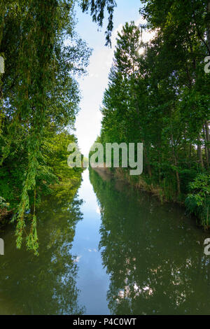 Guntramsdorf, Wiener Neustädter Kanal (Wiener Neustadt Canal), Wienerwald, Vienna Woods, Lower Austria, Austria Stock Photo