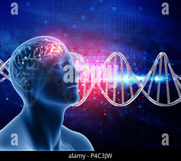 3D medical background with male head and brain on DNA strands Stock Photo