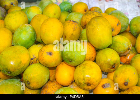 Delicious Ripe Mango Stock Photo