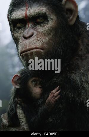 Original Film Title: DAWN OF THE PLANET OF THE APES.  English Title: DAWN OF THE PLANET OF THE APES.  Film Director: MATT REEVES.  Year: 2014. Credit: CHERNIN ENTERTAINMENT / Album Stock Photo