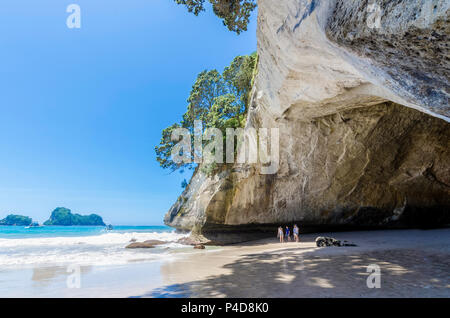 Cathedral Cove in Coromandel Peninsula on the North Island of New Zealand. People can seen exploring around it. Stock Photo