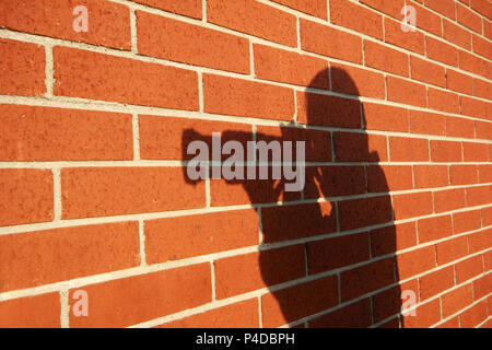 Photographer Stock Photo