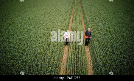 Aerial view of musicians walking in a crop field Scholes Leeds West Yorkshire UK Stock Photo