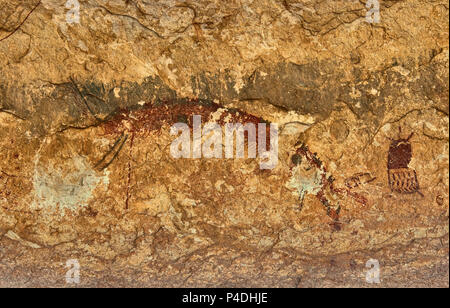 Ancient Indian pictographs at Fate Bell Rockshelter in Seminole Canyon State Park and Historic Site near Comstock, Texas, USA Stock Photo