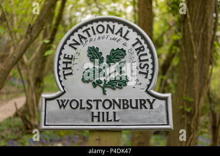 National Trust sign for Wolstonbury Hill on the South Downs National Park  in Sussex UK with graffiti about Brexit written on it. Stock Photo