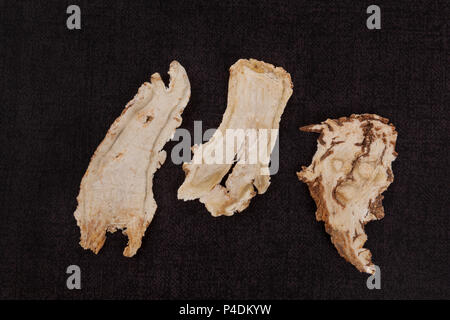 Slices of angelica root used in chinese traditional herbal medicine over black background. TCM. Stock Photo