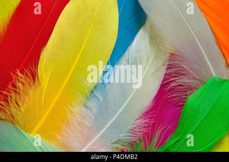 Full frame of colorful feathers Stock Photo
