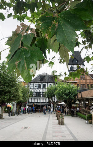 winter Campos do Jordao traditional german architecture building maple Leaf Stock Photo