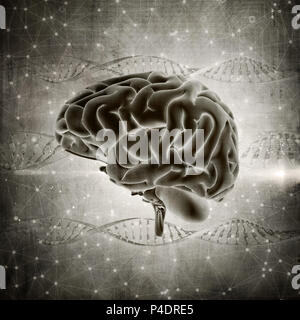 3D render of a grunge style brain image on a DNA strands background Stock Photo