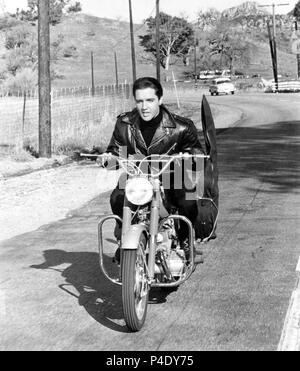 Original Film Title: ROUSTABOUT.  English Title: ROUSTABOUT.  Film Director: JOHN RICH.  Year: 1964.  Stars: ELVIS PRESLEY. Credit: PARAMOUNT PICTURES / Album Stock Photo