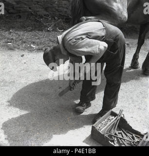 1950s, historical picture showing a farrier with tools outside working on a horse's hooves. A specialist in equine hoof care, a farrier's work is highly skilled and in addition to the equine care, they require blacksmith skiills and veterinarian knowledge as well to care for horses feet. Stock Photo