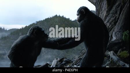 Original Film Title: DAWN OF THE PLANET OF THE APES.  English Title: DAWN OF THE PLANET OF THE APES.  Film Director: MATT REEVES.  Year: 2014. Credit: CHERNIN ENTERTAINMENT / Album Stock Photo